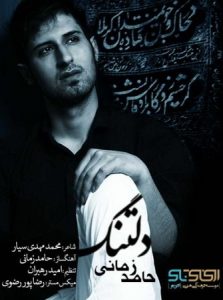 دانلود آهنگ حامد زمانی دلتنگ