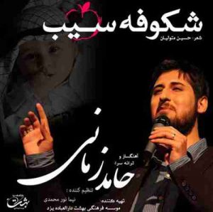 دانلود آهنگ حامد زمانی شکوفه سیب دانلود آهنگ حامد زمانی شکوفه سیب