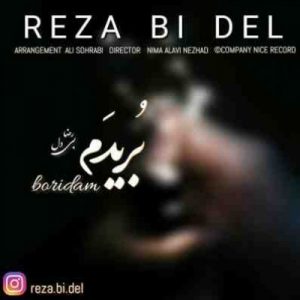 دانلود آهنگ جدید رضا بی دل بریدم دانلود آهنگ جدید رضا بی دل بریدم