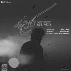 دانلود آهنگ مهراب و مهدی پاراتیس کلاغ پر