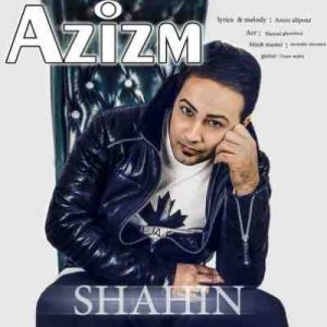دانلود آهنگ جدید شاهین عزیزم