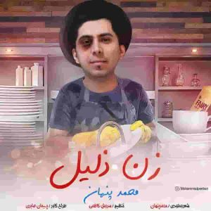 دانلود آهنگ محمد پنهان زن ذلیل دانلود آهنگ محمد پنهان زن ذلیل
