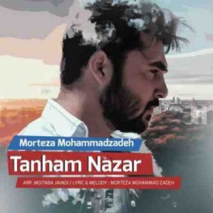 دانلود آهنگ جدید مرتضی محمدزاده تنهام نزار دانلود آهنگ جدید مرتضی محمدزاده تنهام نزار