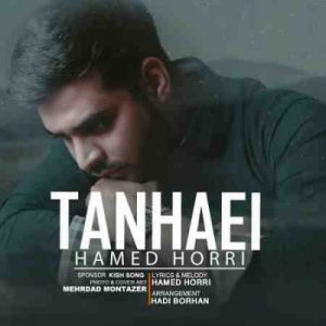 دانلود آهنگ جدید حامد حری تنهایی دانلود آهنگ جدید حامد حری تنهایی