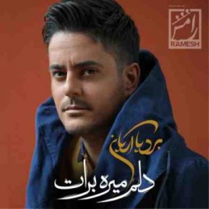 دانلود آهنگ جدید بردیا آریان دلم میره برات