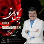دانلود آهنگ جدید بابک رادمنش جز گل روی تو