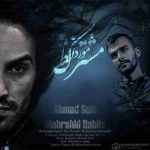 دانلود آهنگ احمد سلو و مهرشید حبیبی مشترک مورد نظر