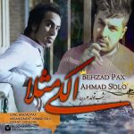 احمد سلو و بهزاد پکس الکی مثلا