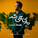 دانلود آهنگ سعید عرب دیدی چی شد