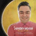 دانلود آهنگ جدید شاهرخ هاشمی منو از دور میبینی
