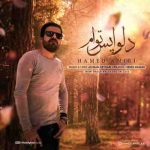 دانلود آهنگ جدید حامد امیری دلواپس توام