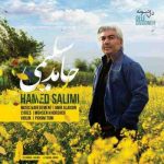 دانلود آهنگ جدید حامد سلیمی دل دیوونه