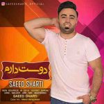 دانلود آهنگ جدید سعید شرطی دوست دارم