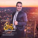 دانلود آهنگ جدید محمدرضا قربانی به تو دل دادم