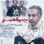 دانلود آهنگ جدید محمدرضا هدایتی من دیوانه نیستم