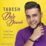 دانلود آهنگ جدید تابش دل دیوونه