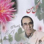 دانلود آهنگ ایرج خواجه امیری گل من