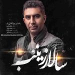 دانلود آهنگ جواد کمالی راد سالار زینب