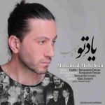 دانلود آهنگ جدید محمد محبیان یاد تو