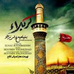 دانلود آهنگ بنیامین ولی نژاد کربلا
