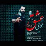  مهران مرآتی تویی عشق