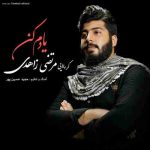 دانلود آهنگ جدید مرتضی زاهدی یادم کن