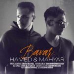 حامد و مهیار باور