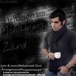 دانلود آهنگ جدید محمد زند دلتنگتم