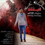 دانلود آهنگ جدید سلیمان مومنی قلب عاشقم