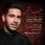 دانلود آهنگ جدید علیرضا احمدی عاشقی