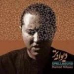 دانلود آهنگ حامد نیک پی صد گونه