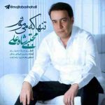  مجتبی شاه علی تنها که میمونم
