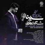 دانلود آهنگ جدید سینا شعبانخانی به هیشکی نگو