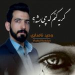 دانلود آهنگ جدید وحید نامداری گریه کنم که چی بشه