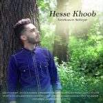 دانلود آهنگ جدید امیرحسین بختیار حس خوب