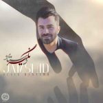 دانلود آهنگ جدید جمشید نگیر دستامو
