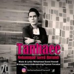 دانلود آهنگ جدید محمدسعید هرندی تنهایی