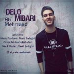 دانلود آهنگ جدید علی مهرزاد دلو میبری