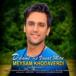 دانلود آهنگ جدید میثم خداوردی دلمه که واست میره