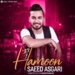 دانلود آهنگ جدید سعید عسگری هامون
