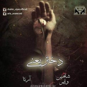 دانلود آهنگ آرتا و شاهین وایپر دختر یعنی دانلود آهنگ آرتا و شاهین وایپر دختر یعنی