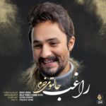 دانلود آهنگ جدید راغب حالتو میخرم