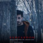 دانلود آهنگ جدید امیرحسین نادری سرگردون