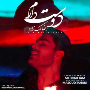 دانلود آهنگ جدید رضا ملک زاده دوست دارم دانلود آهنگ جدید رضا ملک زاده دوست دارم