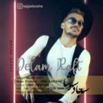 دانلود آهنگ جدید سجاد سوشا دلم رفت
