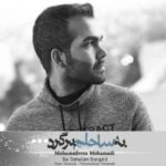 دانلود آهنگ جدید محمدرضا محمدی به ساحلم برگرد