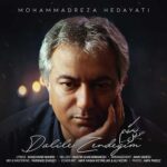 دانلود آهنگ جدید محمدرضا هدایتی دلیل زندگیم