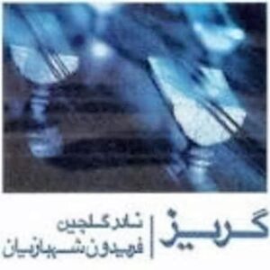 دانلود آهنگ نادر گلچین حماسی