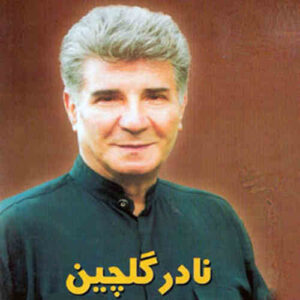 دانلود آهنگ نادر گلچین افسوس