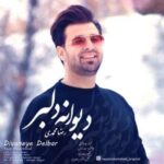 دانلود آهنگ جدید رضا محمدی دیوانه دلبر